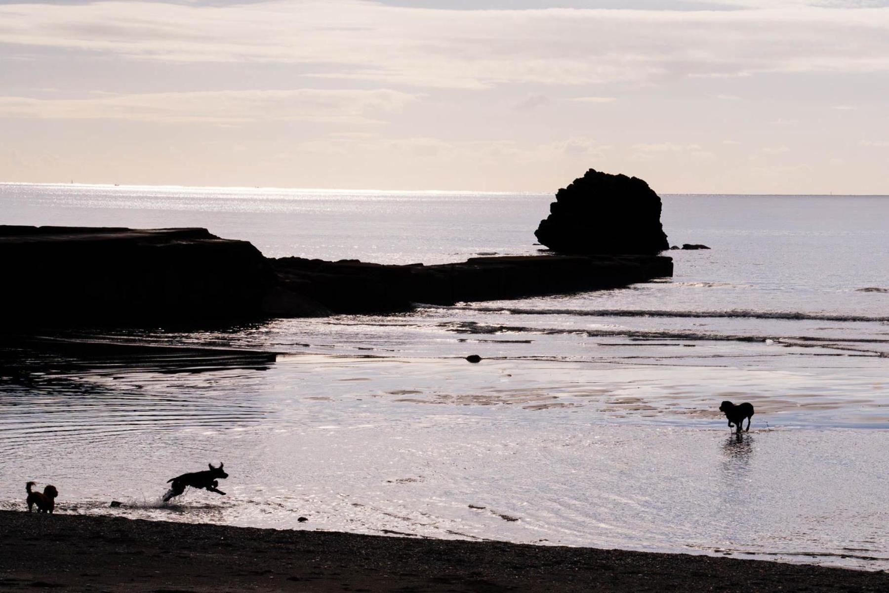 Pet Friendly Sea View Villa Millendreath Looe Kültér fotó